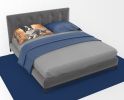 Border Collie Fall Standard Pillowcase Lightweight Super Soft Easy Care Decorative Artwork Pillowcase, Standard