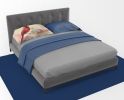 Cardinal Standard Pillowcase Lightweight Super Soft Easy Care Decorative Artwork Pillowcase, Standard